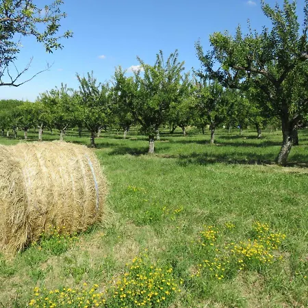 De La Fontaine 度假居 Saint-Remy-la-Calonne