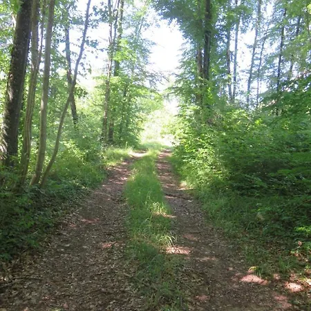 De La Fontaine Saint-Remy-la-Calonne
