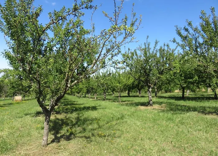 Holiday home De La Fontaine Saint-Remy-la-Calonne