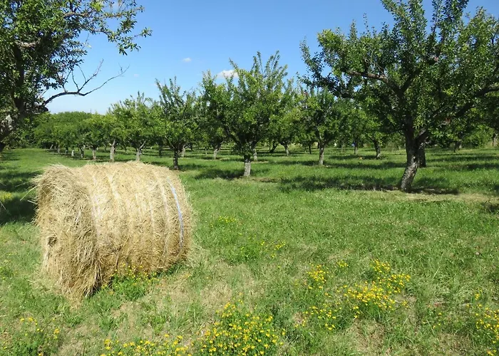 De La Fontaine Holiday home Saint-Remy-la-Calonne