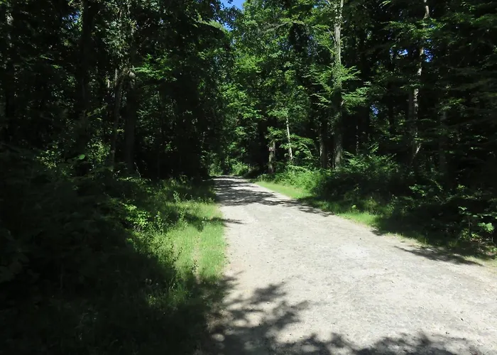 De La Fontaine Saint-Remy-la-Calonne
