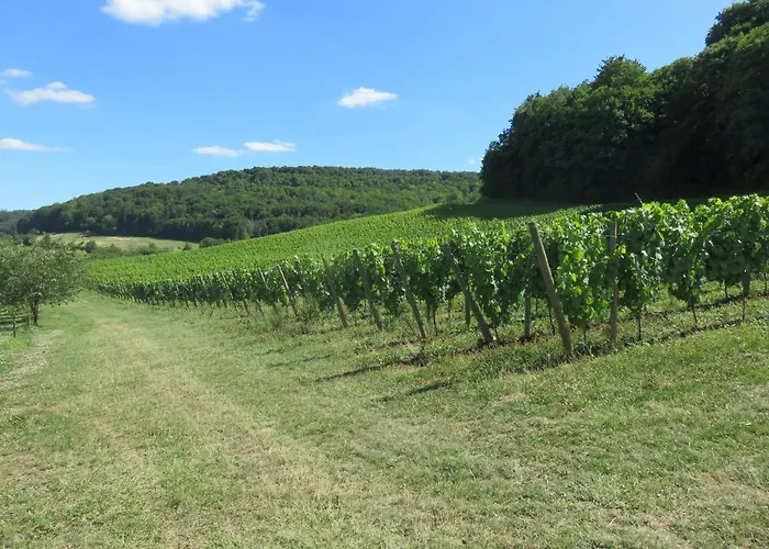 De La Fontaine Holiday home *